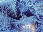 Мороз и небольшой снег порадуют белорусов в новогоднюю ночь